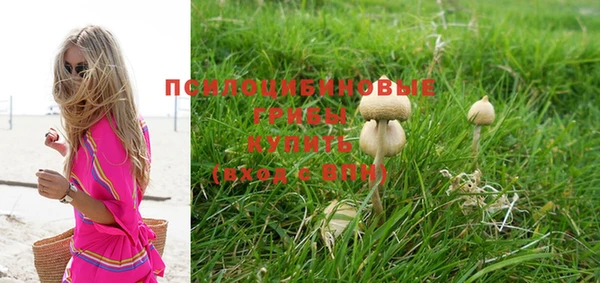 кокс Алексеевка
