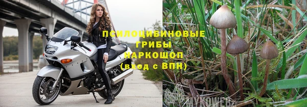 крисы Алексин