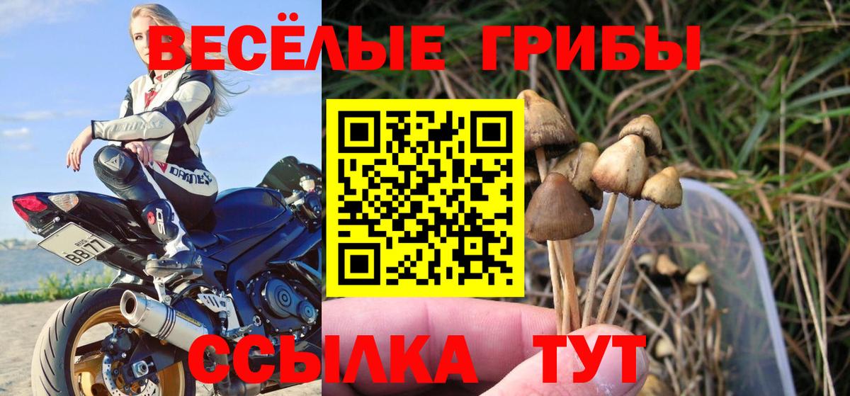 Галлюциногенные грибы GOLDEN TEACHER  Галлюциногенные грибы Psilocybe  Когалым  Вход с VPN 