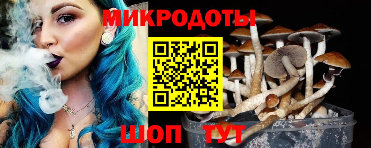 Галлюциногенные грибы мухоморы Когалым