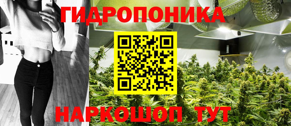Шишки марихуана гибрид  Вход с VPN  Бошки Шишки конопля  Когалым  Бошки марихуана планчик 